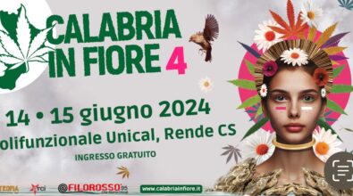 “Calabria in Fiore 2024”: il  Festival per la valorizzazione della canapicoltura a Rende