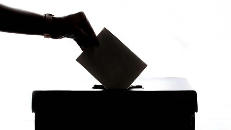 Elezioni comunali 2024, urne aperte in provincia di Cosenza. Le sfide più calde